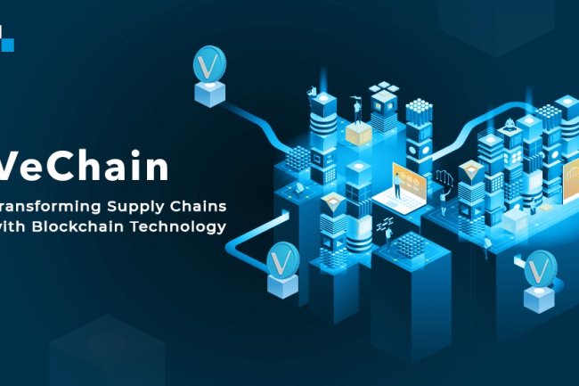 Perspektywy VeChain na Rok 2024