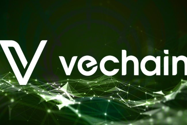 Partnerstwo VeChain z SolarWise