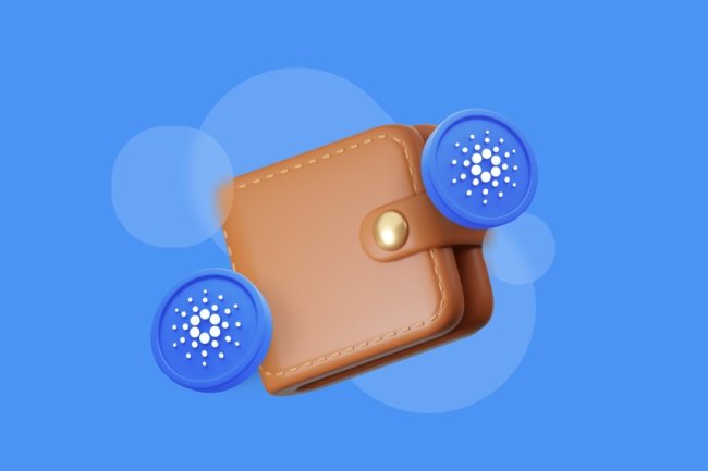 Cardano   Wzrost Nowych Portfeli