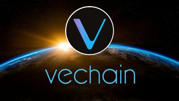 Czym jest VeChain i jak działa?