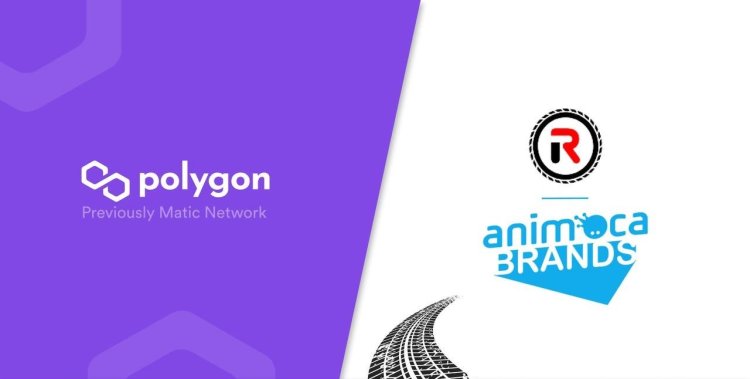 Polygon i Animoca Brands- Weryfikacja Tożsamości