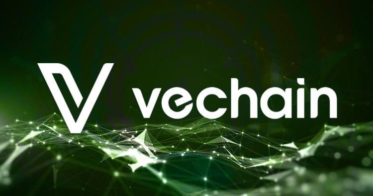 Partnerstwo VeChain z SolarWise