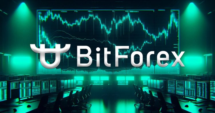 BitForex Bez Ostrzeżenia Wstrzymuje Wypłaty
