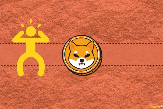 SHIBa: Spadek o 50% na Coinbase Odsłania Ryzyko Dźwigni
