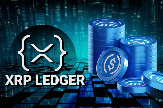 Panos Mekras apeluje o integrację USDC na XRPL