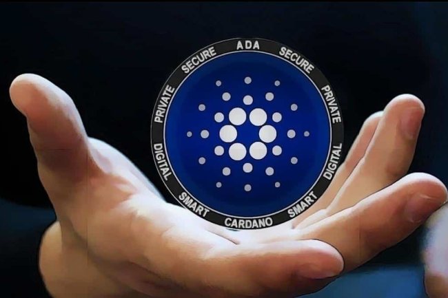 Cardano (ADA): Prawie Połowa Inwestorów Na Stracie