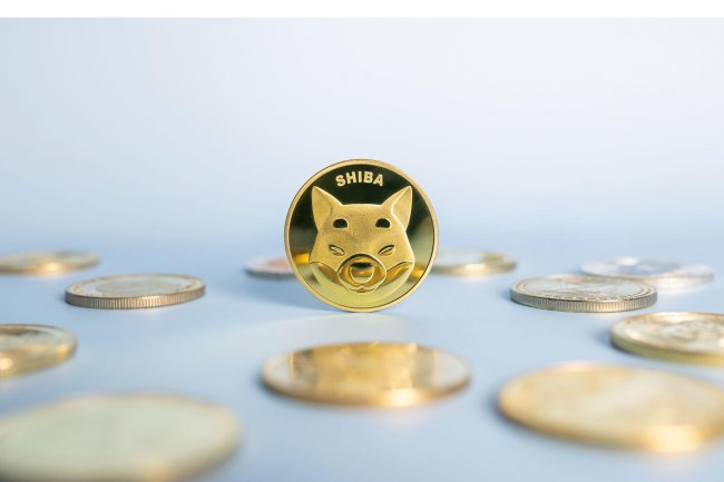 Shiba Inu - 2 Miejsce w Rankingu Kryptowalut w EU