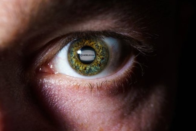 Portugalski Regulator Zakazuje Worldcoin na 90 Dni