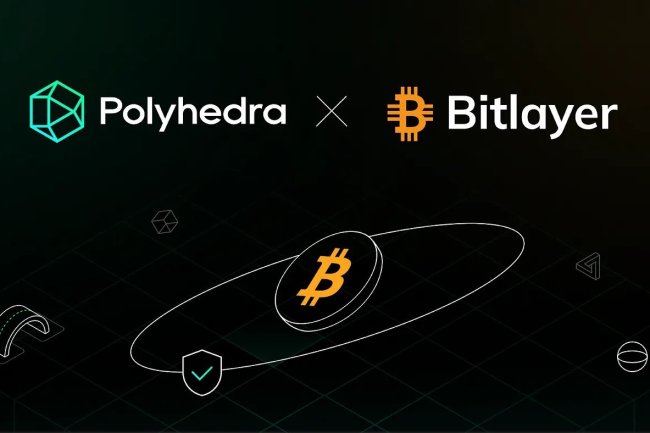 Bitlayer Partnerstwo z Polyhedra Network