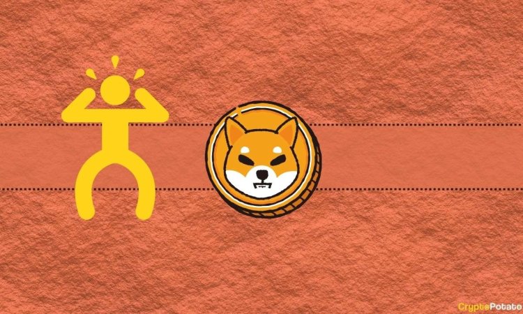 SHIBa: Spadek o 50% na Coinbase Odsłania Ryzyko Dźwigni