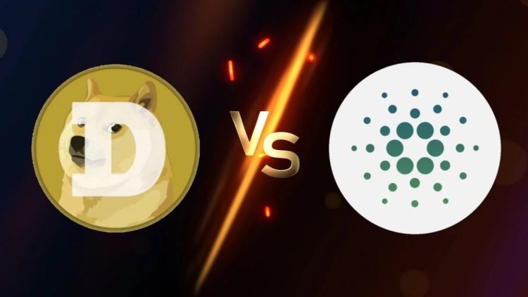 Dogecoin Ponownie Wyprzedza Cardano