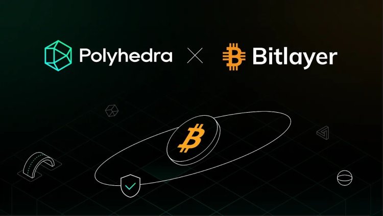 Bitlayer Partnerstwo z Polyhedra Network