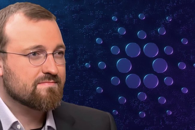 Charles Hoskinson: Cardano Przed Dużymi Aktualizacjami
