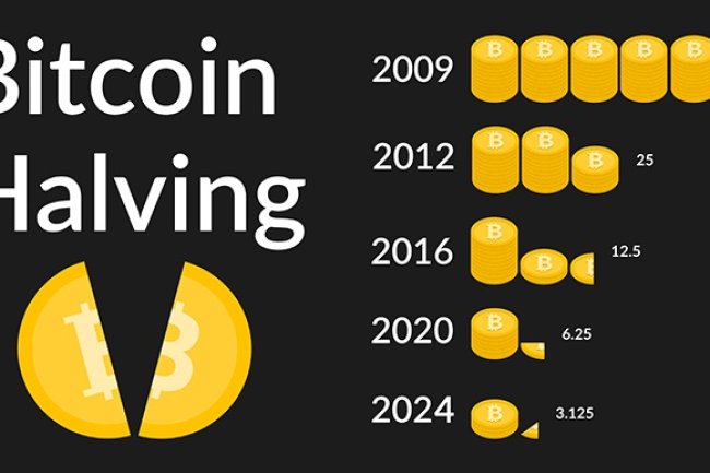 Halving Bitcoina: Pozostało 100 bloków