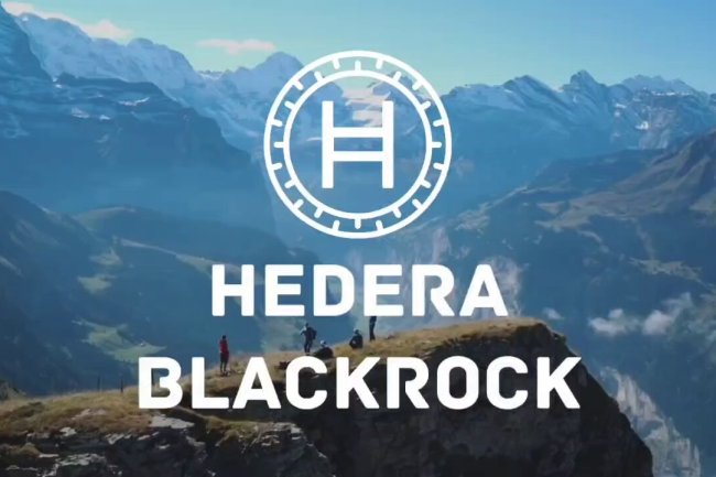 BlackRock Tokenizuje Fundusz  na Hedera