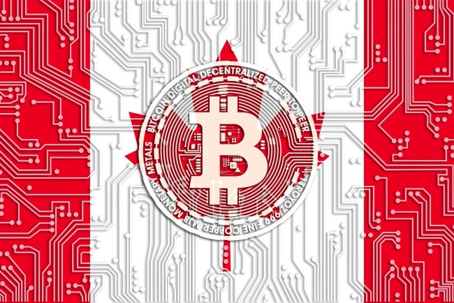 67% Podatek Od Zysków Dla Akcji i Kryptowalut