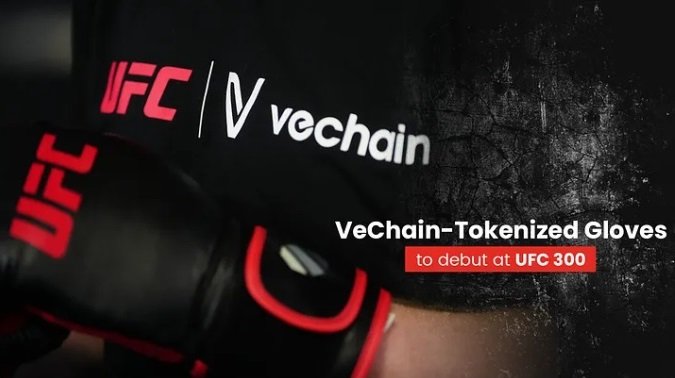 VeChain ogłasza partnerstwo z UFC