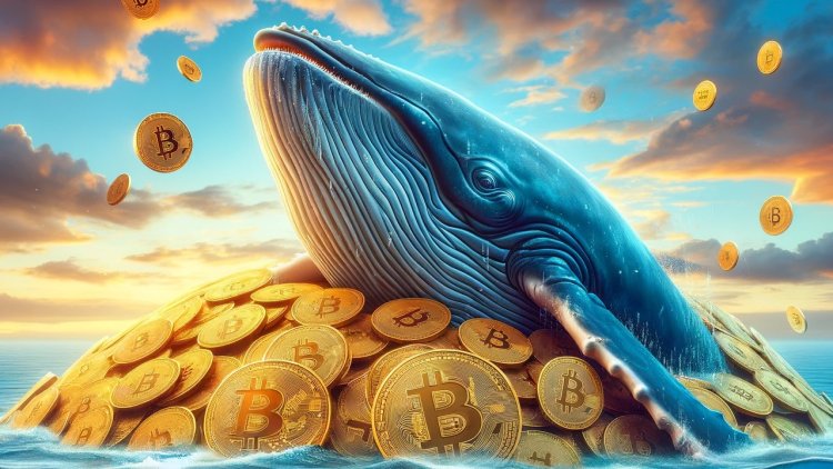Wieloryb przesyła 7690 BTC na giełdę Coinbase