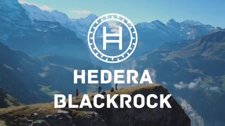 BlackRock Tokenizuje Fundusz  na Hedera