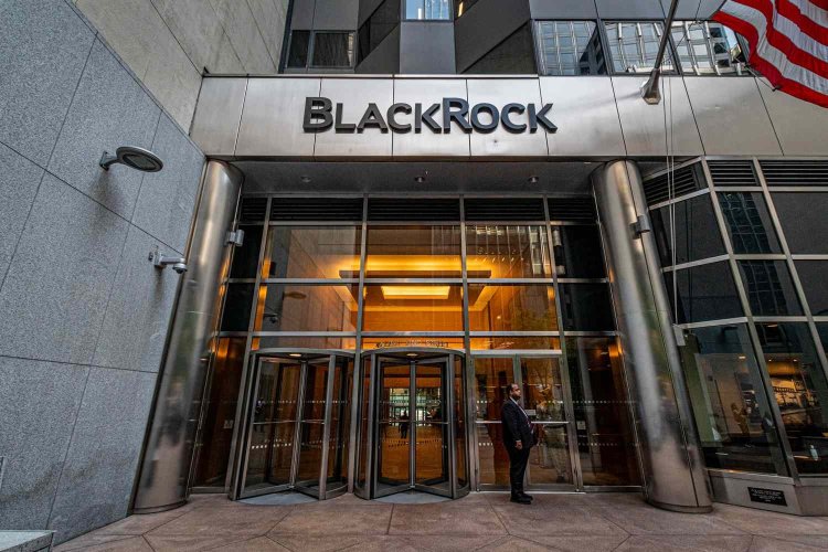 Kontrowersje wokół BlackRock i Hedery