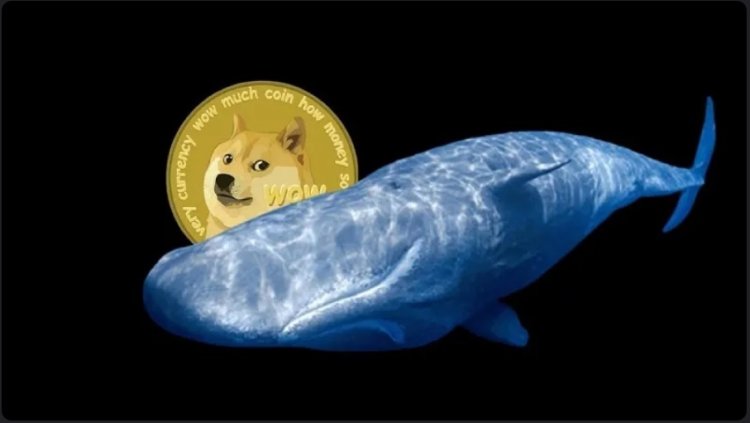 Wieloryby Dogecoin Przenoszą 456 mln DOGE na Giełdę