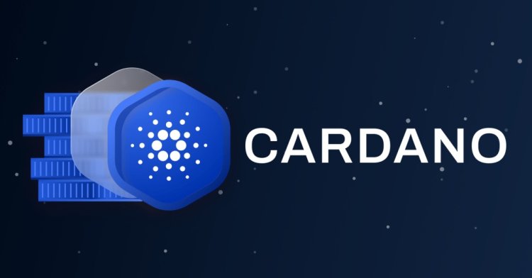 Cardano Rekordowy Dzienny Wolumen Transakcji