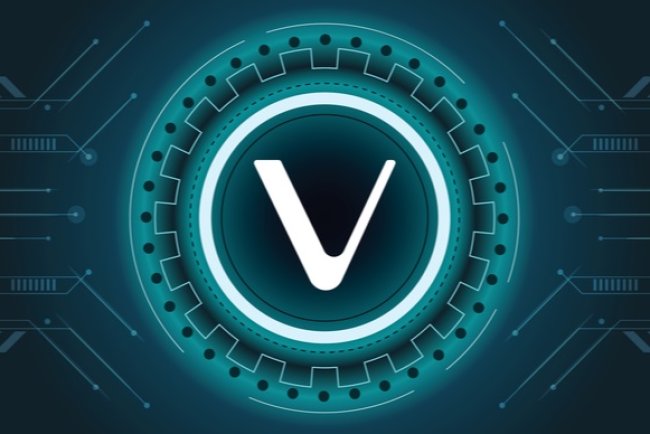 VeChain (VET): Spotkanie w Izbie Lordów