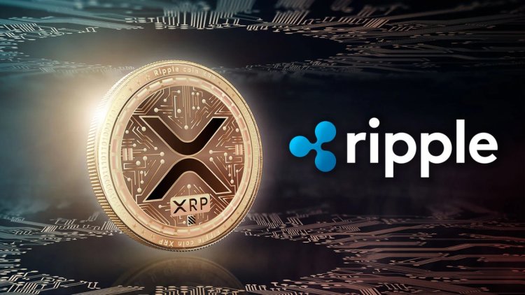 Perspektywy Ripple na 2024