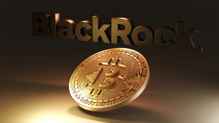 BlackRock Dodaje $4,1 Miliona w Bitcoin ETF