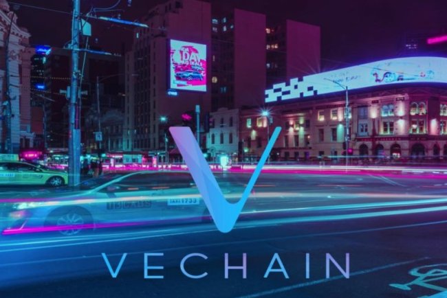 Raport Skarba VeChain za Pierwszy Kwartał 2024