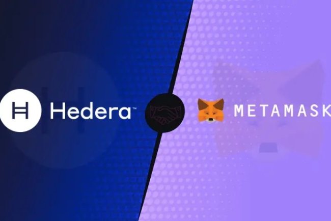 Hedera Wallet Snap Teraz Obsługuje Smart Kontrakty