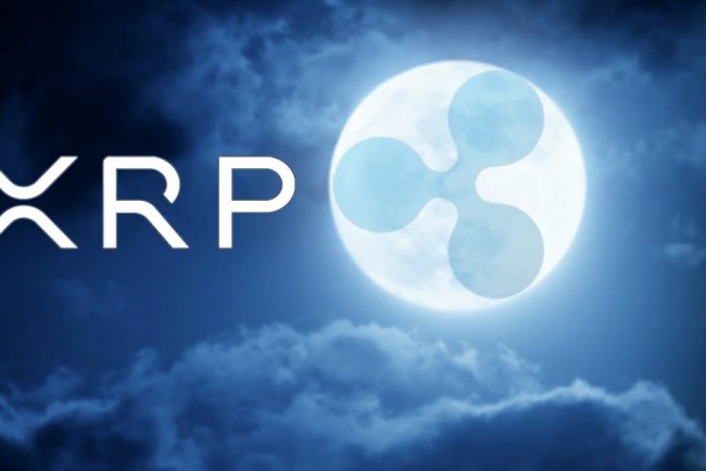 Śmiałe prognozy: XRP za $500 w pięć lat