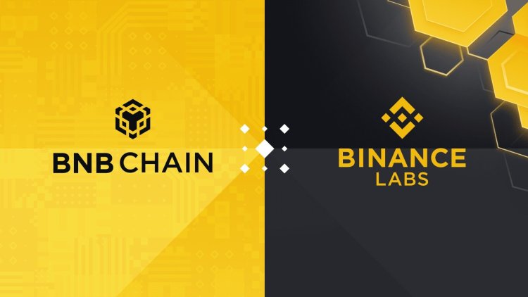 Binance Labs uruchamiają BNB Incubation Alliance