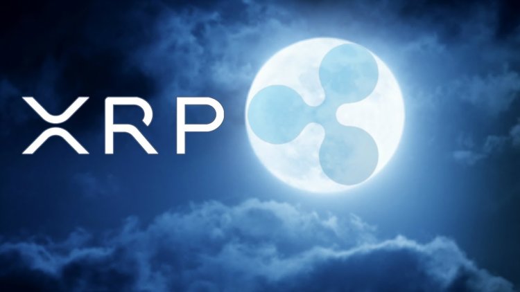 Śmiałe prognozy: XRP za $500 w pięć lat