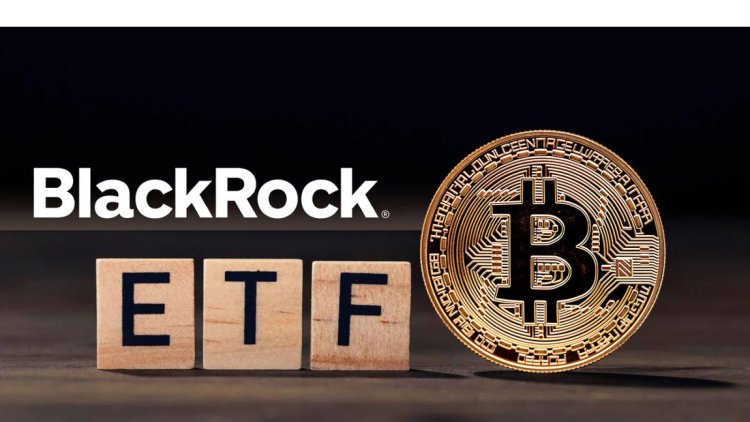 BlackRock: Tylko Bitcoin i Ethereum w ETF-ach