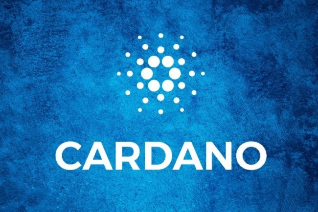 Cardano: Tokenizacja Aktywów