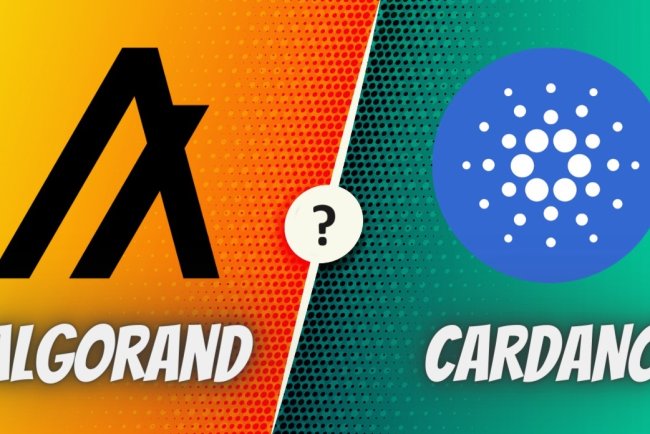 Współpraca Cardano i Algorand ?