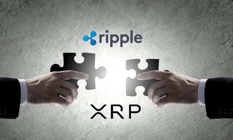 Ripple vs SEC: Możliwości Apelacji