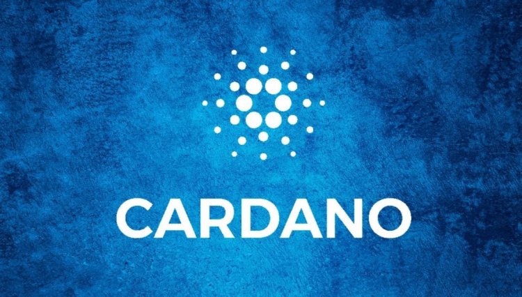 Cardano: Tokenizacja Aktywów