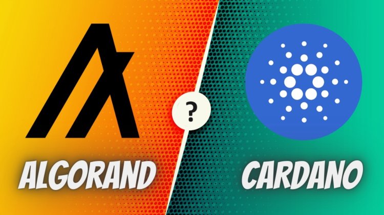 Współpraca Cardano i Algorand ?