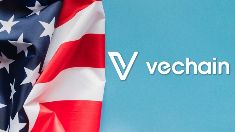 VeChain Zdobywa Patent w USA