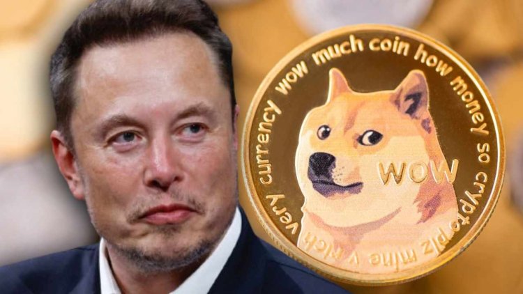 Elon Musk Wygrał Sprawę o Manipulację Dogecoinem