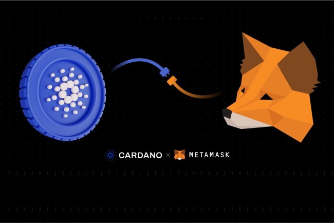 MetaMask wspiera Cardano