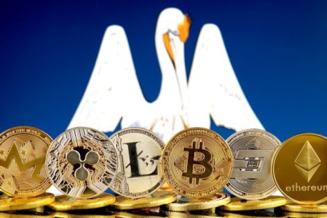 Luizjana Akceptuje Bitcoin za Usługi Państwowe