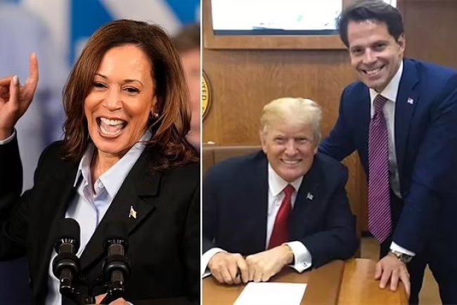 Scaramucci współpracuje z Kamalą Harris