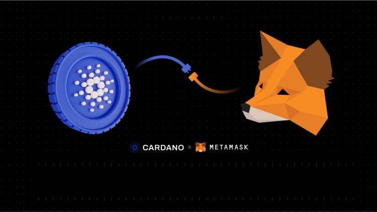 MetaMask wspiera Cardano