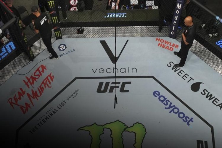 VeChain i UFC Nawiązały Partnerstwo