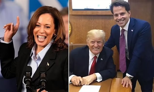 Scaramucci współpracuje z Kamalą Harris