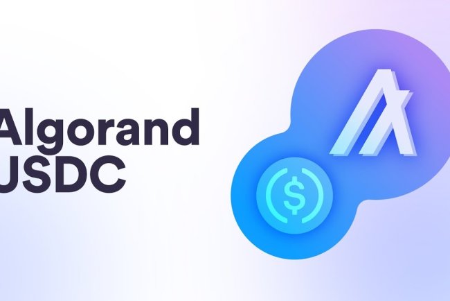 Algorand wprowadza stablecoiny zgodne z MiCA
