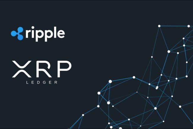 Znaczący wzrost aktywności na XRP Ledger
